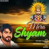 About Mera Shyam Song